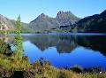 Tasmania's Own Redline Coaches image 3