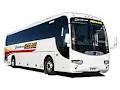 Tasmania's Own Redline Coaches image 1
