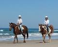 Tassiriki Ranch Horse Riding & Holiday Cabins image 3