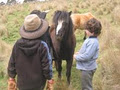 The Cubby House Farmstay image 4