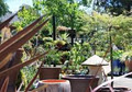 The Plant Seller Nursery image 1