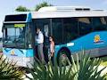 Townsville Sunbus image 2