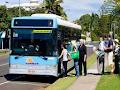 Townsville Sunbus logo