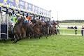 Warrnambool Racing Club image 1