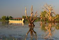 Wetland Cruises image 4
