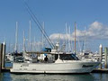 What Charter Boat Fishing Charters logo