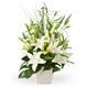 1300 Flowers Florist Sydney image 3