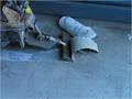 A & A Ultimate Concrete Cutting & Drilling / Razor Concrete Cutting Qld Pty Ltd image 2