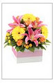 A Basket Of Flowers logo