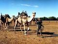 A Off The Track Outback Tours image 3