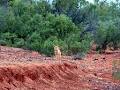 A Off The Track Outback Tours image 1