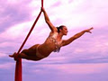 Aerial Artistry Training Centre, Gold Coast image 2