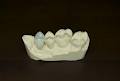 Aesthetic Solutions Dental Ceramics logo