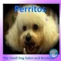 At Perritos image 1