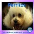 At Perritos logo