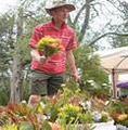 Ballarat Farmers Market image 2