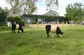 Barrington Village Retreat image 1