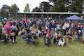 Berwick Obedience Dog Club image 2