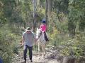 Blaze Trail Rides image 6