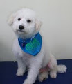 Boronia Dog Grooming & Pet Supplies image 2