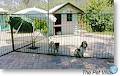 Bowhill Pet Resort image 2