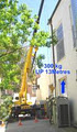 BudgetDrillingLifting.com.au image 2