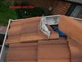 Building Inspections Newcastle Pest Inspectors image 5