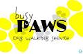 Busy Paws Dog Walking Service logo