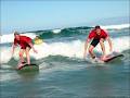 Byron Bay Style Surfing School image 3