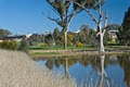 Charles Sturt University, Albury-Wodonga image 4