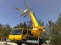EMR Cranes image 1