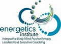 Energetics Institute image 6