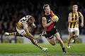 Essendon Football Club image 4
