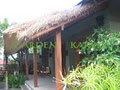 Garden Karma image 6