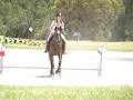 Gawler River Pony Club image 2