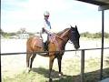 Gawler River Pony Club image 4