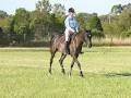 Gawler River Pony Club image 6