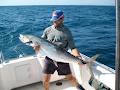 Gladstone Fishing Charters & Eco Tours image 3