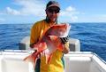 Gladstone Fishing Charters & Eco Tours image 6