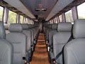 Glenorie Coaches image 2