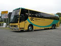 Glenorie Coaches image 1