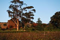 Goona Warra Vineyard image 2