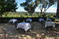 Goona Warra Vineyard image 5