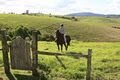 Gracemere Grange Bed & Breakfast image 6