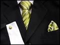 Grassy Desert Silk Ties logo