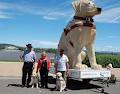 Guide Dogs NSW/ACT image 3