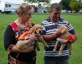 Guide Dogs Queensland logo