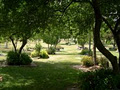 Gungahlin Cemetery image 2