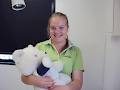 Gunnedah Pet Vet image 6