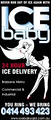 Ice Baby logo